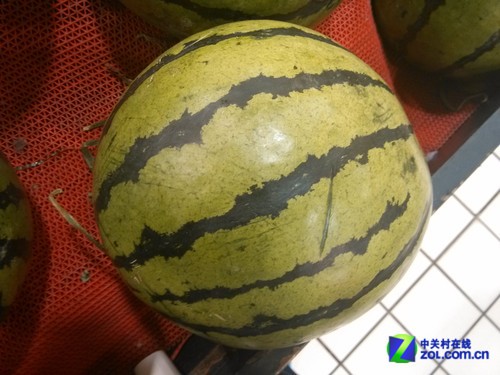 App今日免费:iWatermelon教你夏季挑西瓜 