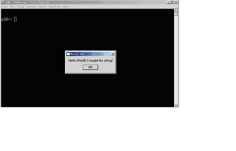 一款轻量级终端工具TeraTerm的脚本介绍（一）