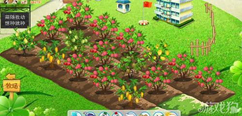 为什么我的QQ农场打不开啊？