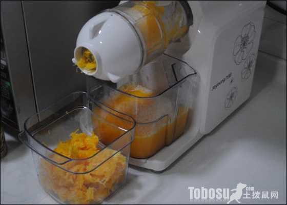 低速挤压式榨汁机.jpg