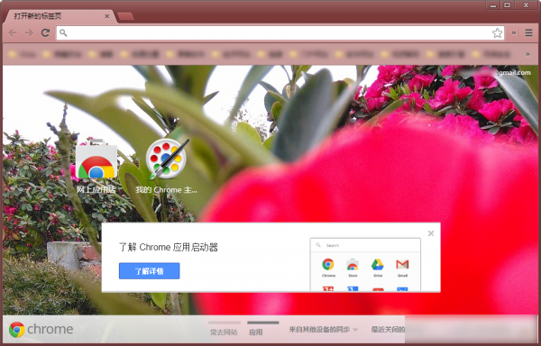 Chrome如何制作主题背景？谷歌浏览器皮肤法介绍_新客网