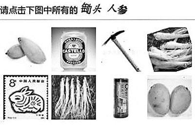12306验证码遭调侃  C罩杯再一次逆天了