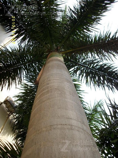 揭开Altek裸价的秘密 Altek A806HD