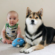 海尔t621_海尔笔记本t621拆机方法哪位知道？