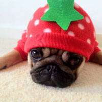 海尔t621_海尔笔记本t621拆机方法哪位知道？