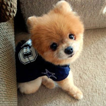 win7待机快捷键是什么