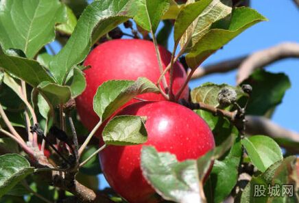 点击图片分享到微博