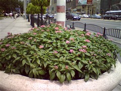 【Zenum OPUS怎么样】Zenum OPUS怎么样