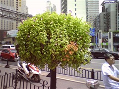 【Zenum OPUS怎么样】Zenum OPUS怎么样