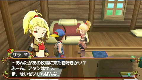 《牧场物语 蜜糖村与村民们的愿望》下载