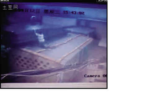 “翻墙男”走红网络的尴尬（组图）