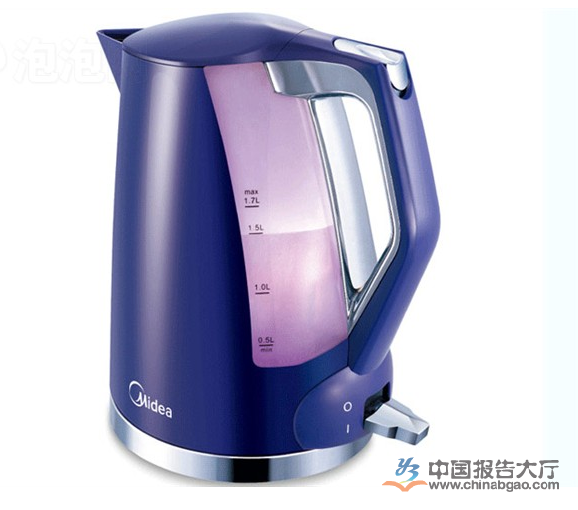 2015年我国电水壶行业十大品牌排行榜