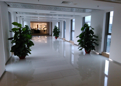 首款高通MSM8228手机 每周手机评测汇总