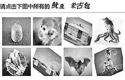 春运返程票开抢 12306验证码遭吐槽