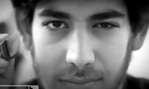 jstor_知网_aaron swartz