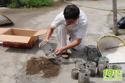 施金驰_灭蚊_灭蚊子最有效的方法