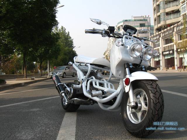 祖玛豪华版_袓玛中文版_手机版祖玛