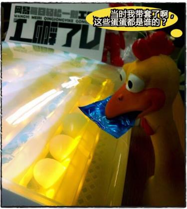 网易轻松一刻_网易轻松一刻下载_轻松一刻 网易_魔性！网易“每日轻松一刻”青果直播“孵蛋”