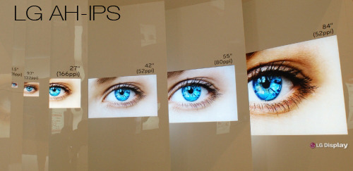 AH-IPS面板+广色域技术 华硕PA249Q评测