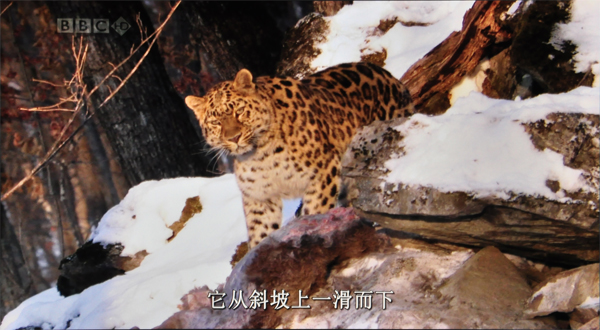 aoce2060s?200v4l?超薄环保价位更诱人 宏碁S220HQL评测