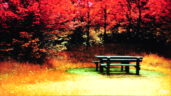 aoce2060s?200v4l?超薄环保价位更诱人 宏碁S220HQL评测