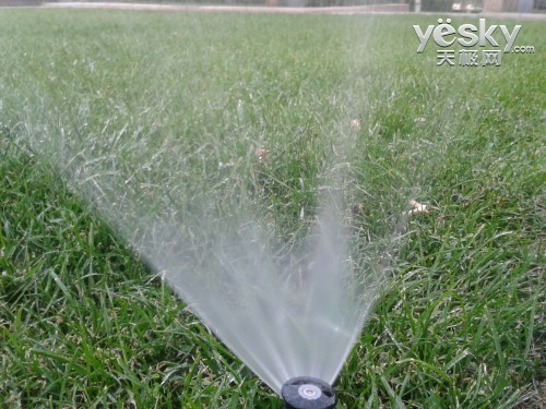 图为：三星 GT-S7562 手机拍摄样张