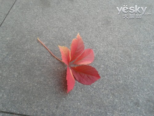 图为：三星 GT-S7562 手机拍摄样张