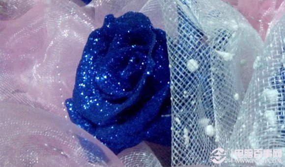 优米大红牛拍照样张效果图