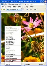 exifshow?图片修改软件?exif信息查看器?【Exif Show怎么用】Exif Show好不好