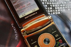 低廉的高贵 MOTO V8 2G黄金版报价1350 