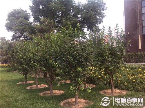 不足千元移动3G网络 华为G606评测 