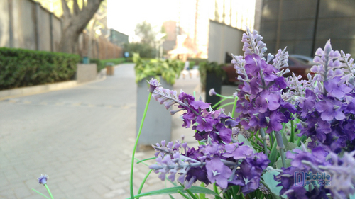 nubia Z9mini样张-3