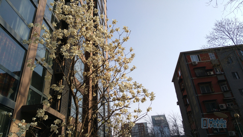 nubia Z9mini样张-6