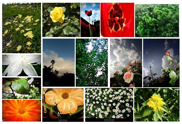 用药助手离线数据包?三星wb1000电池开关?三星WB1000迷你单反数码相机高调上市(图)