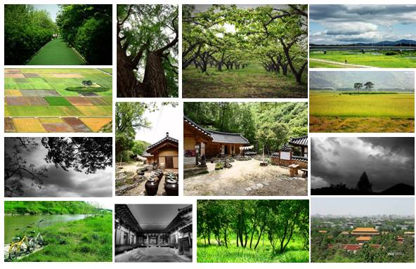 用药助手离线数据包?三星wb1000电池开关?三星WB1000迷你单反数码相机高调上市(图)