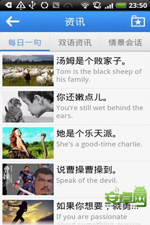 金山词霸