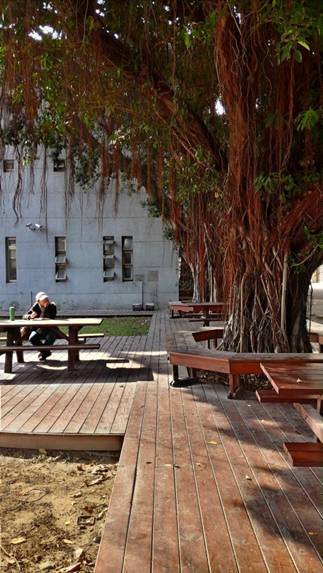 华硕ZenFone2:最美HDR带你“所拍,即所得”