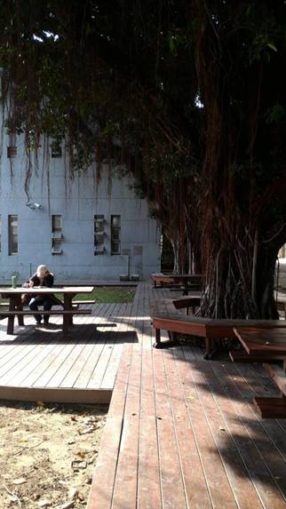 华硕ZenFone2:最美HDR带你“所拍,即所得”