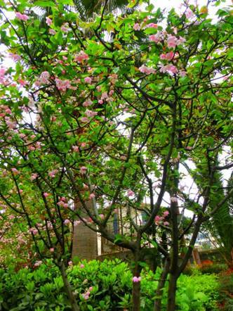 美颜自拍！我也可以！卡西欧ZR1000自拍新体验