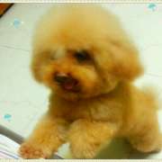 wap.ast777.com__woaise