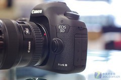 无敌兔替代者 佳能5D Mark III套机热卖 