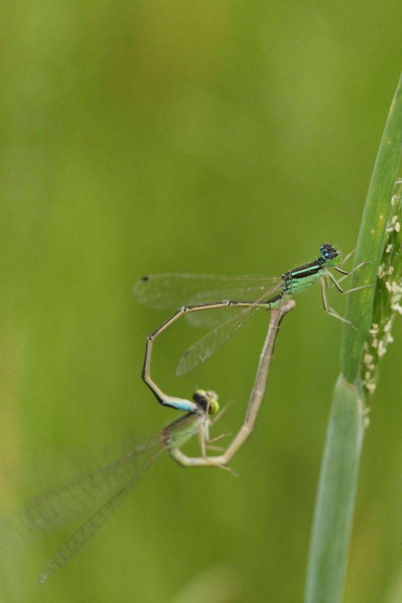 武道至尊_盖世兔2_盖世兔