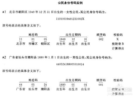 号码验证算法_号码中的x_号码排列规律