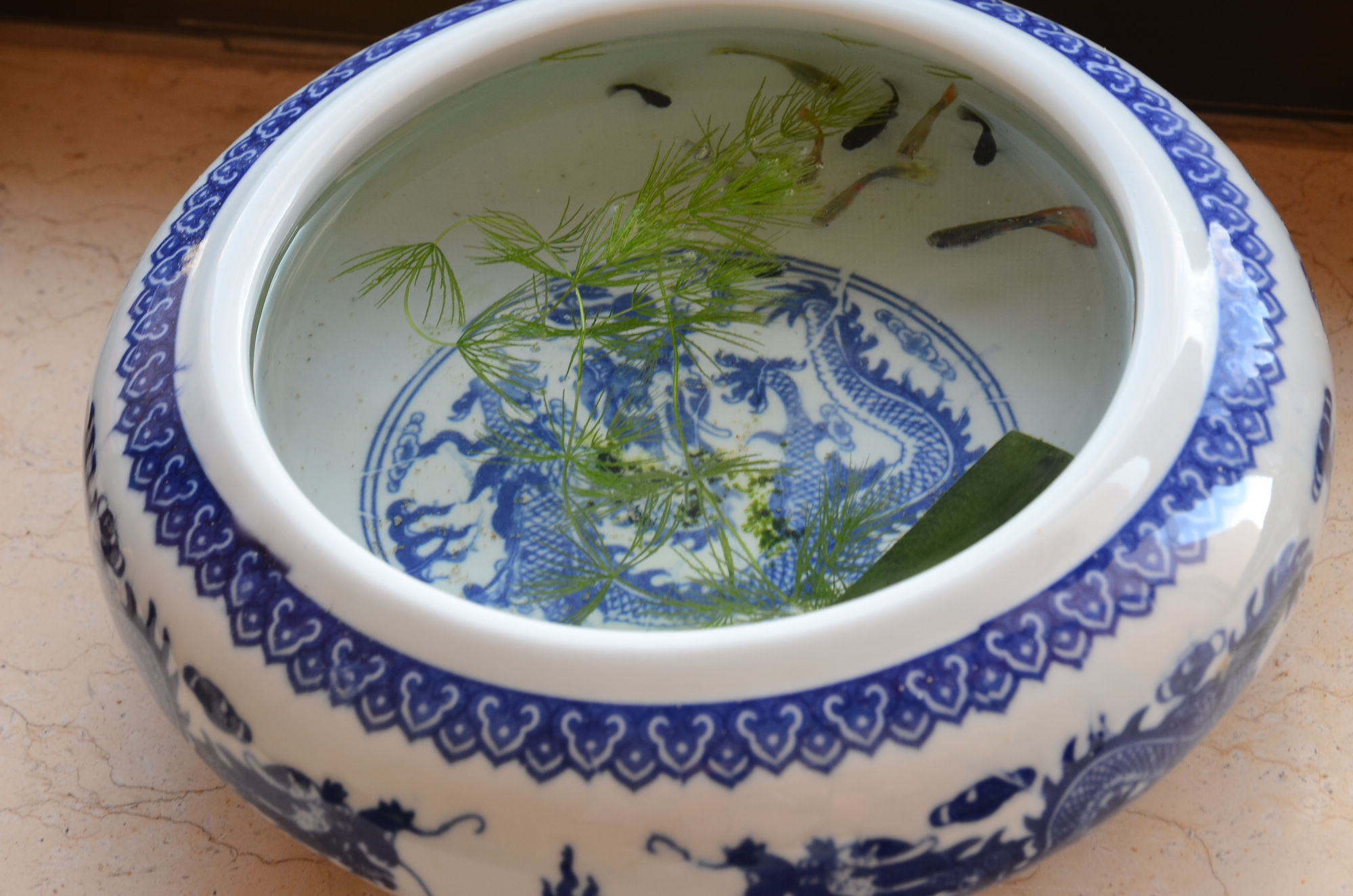 镜头偏振镜的使用技巧_偏振镜的作用_偏振镜的作用大嘛