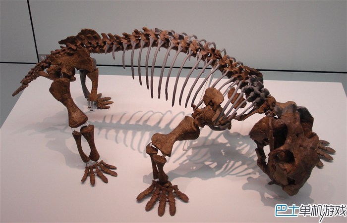 方舟生存进化水龙兽Lystrosaurus 学霸萌宠值得拥有