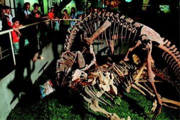 古生物:见证西北环境变迁图片1