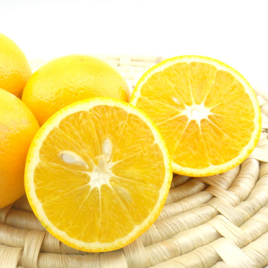 深圳东讯网络_柳丁网_柳丁网络电话