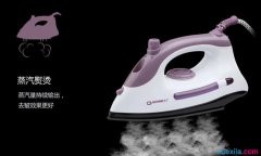 电烫斗什么牌子好_红心电熨斗_什么电熨斗好