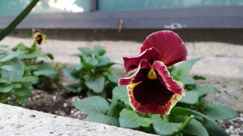 Galaxy Round曲面屏手机上手试玩：集人体工学之大成