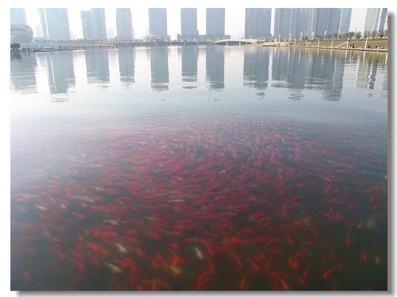 鎴愨櫏闀_敤首_偏振镜的使用
